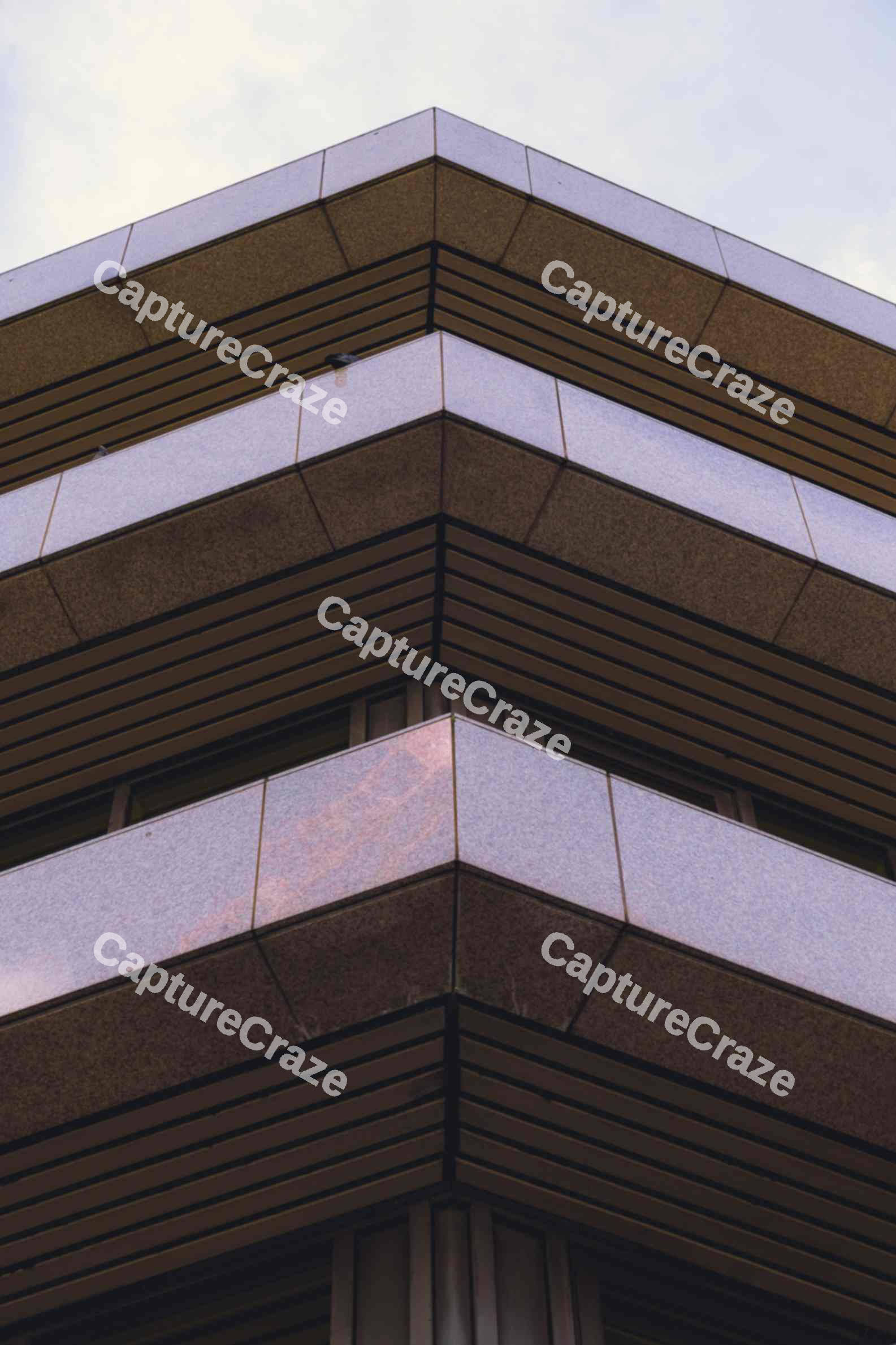 Estate Symmetry